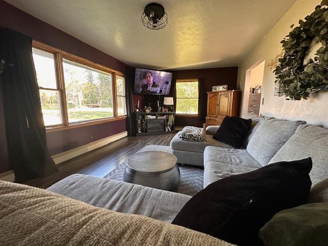 3507 Salo Rd, Waasa Twp, MN 55732 - living area featuring wood finished floors and a baseboard radiator