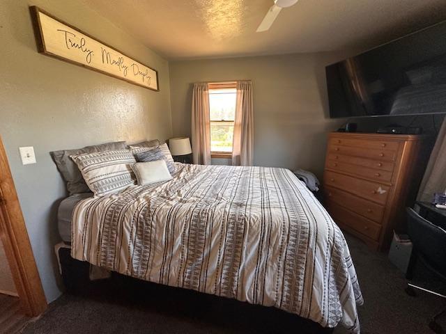 3507 Salo Rd, Waasa Twp, MN 55732 - carpeted bedroom with ceiling fan