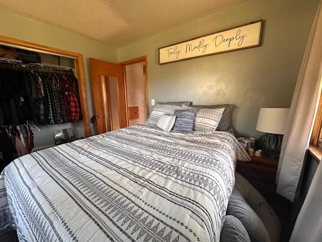 3507 Salo Rd, Waasa Twp, MN 55732 - bedroom featuring a closet