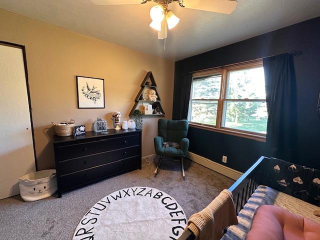 3507 Salo Rd, Waasa Twp, MN 55732 - bedroom with carpet floors and ceiling fan