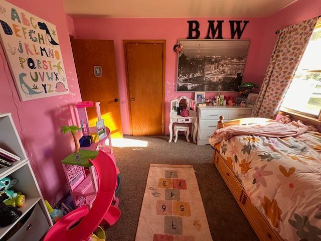 3507 Salo Rd, Waasa Twp, MN 55732 - bedroom with carpet floors