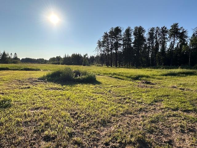 3507 Salo Rd, Waasa Twp, MN 55732 - view of nature with rural landscape