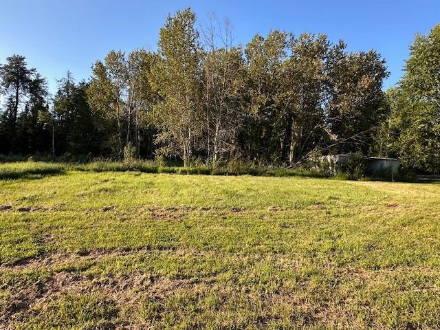 3507 Salo Rd, Waasa Twp, MN 55732 - view of grassy yard