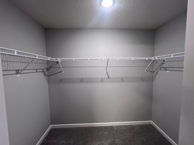 2488 Jacamar Ave NE, Saint Michael, MN 55376 - spacious closet with carpet
