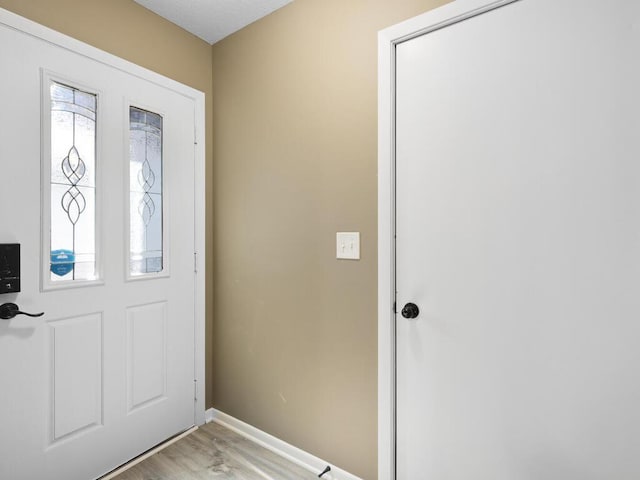 26161 8th St W, Zimmerman, MN 55398 - entrance foyer featuring light wood finished floors and plenty of natural light