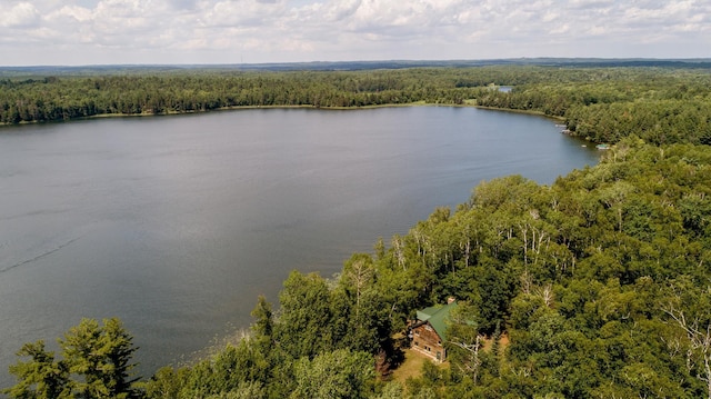 25202 Heather Trl, Nevis, MN 56467 - photo 32