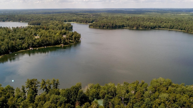 25202 Heather Trl, Nevis, MN 56467 - photo 37