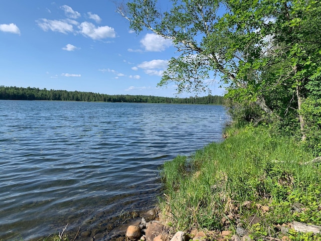 25202 Heather Trl, Nevis, MN 56467 - photo 42