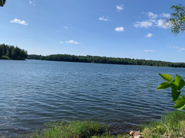 25202 Heather Trl, Nevis, MN 56467 - photo 43