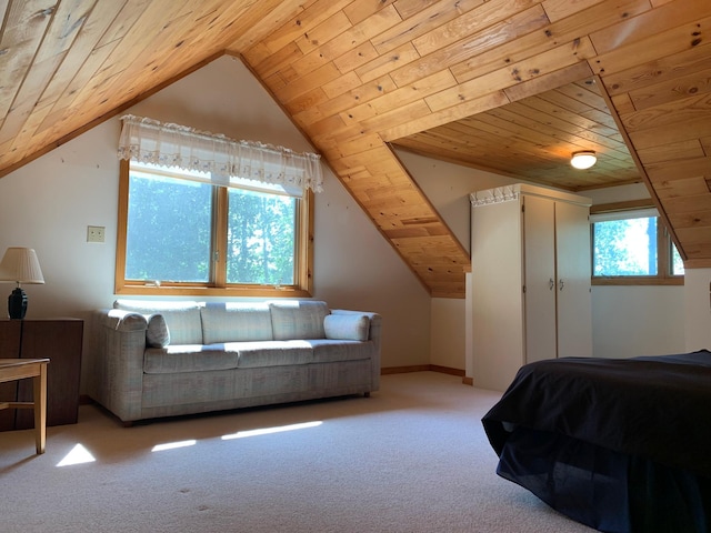 25202 Heather Trl, Nevis, MN 56467 - photo 14