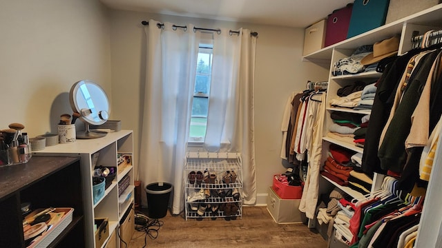 717 2nd Ave SW, Pipestone, MN 56164 - walk in closet with wood finished floors