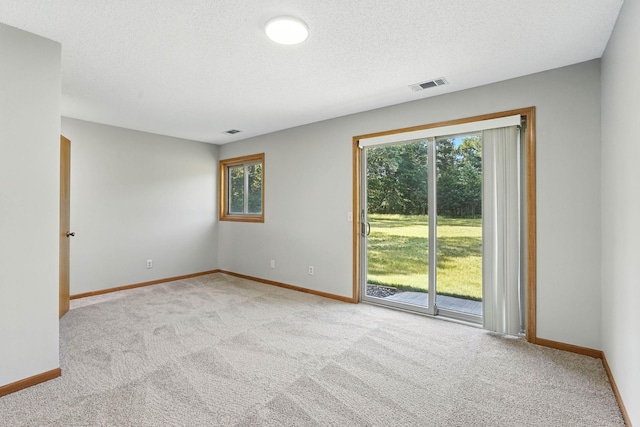 14226 310th Ave, Princeton, MN 55371 - carpeted empty room with a textured ceiling