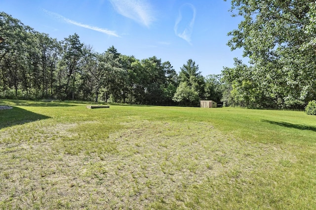 14226 310th Ave, Princeton, MN 55371 - view of grassy yard with a storage unit and a view of trees