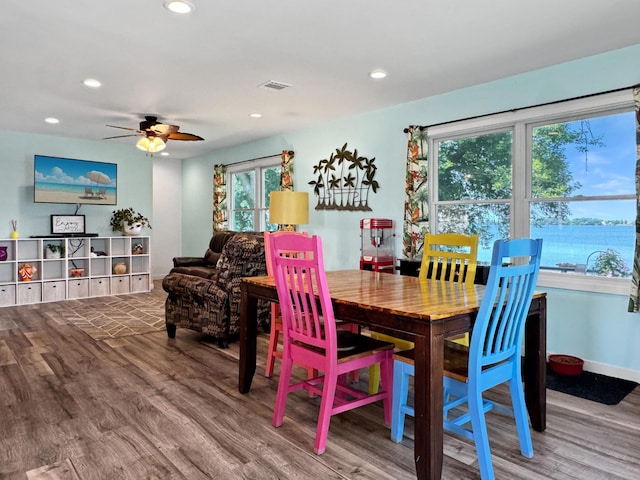 34 Shady Rest Rd, Lake Sarah Twp, MN 56132 - dining room with wood finished floors, recessed lighting, and ceiling fan