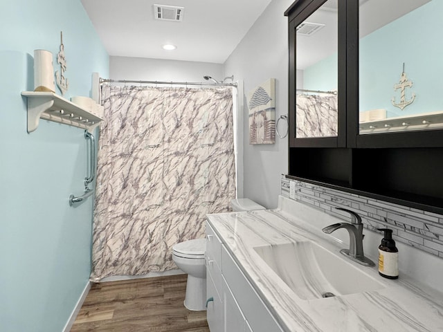 34 Shady Rest Rd, Lake Sarah Twp, MN 56132 - bathroom featuring vanity, tasteful backsplash, wood finished floors, and a shower with shower curtain