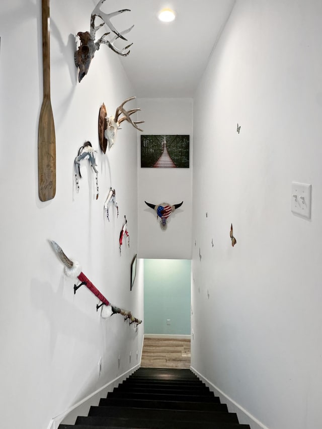34 Shady Rest Rd, Lake Sarah Twp, MN 56132 - stairway with wood finished floors and baseboards
