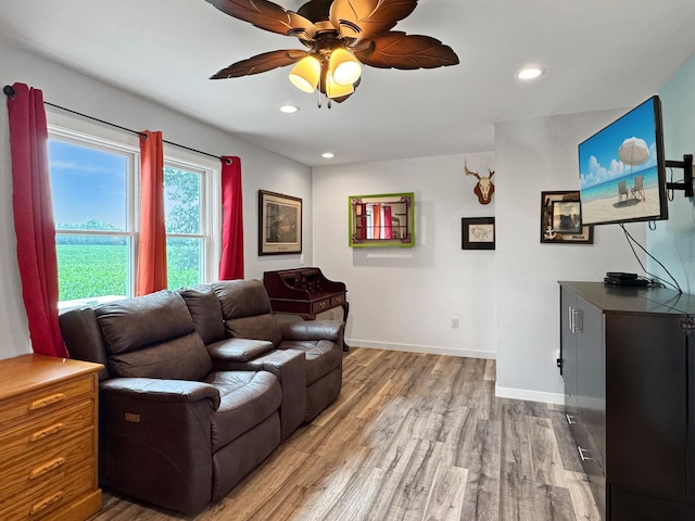34 Shady Rest Rd, Lake Sarah Twp, MN 56132 - living room featuring wood finished floors, ceiling fan, and recessed lighting