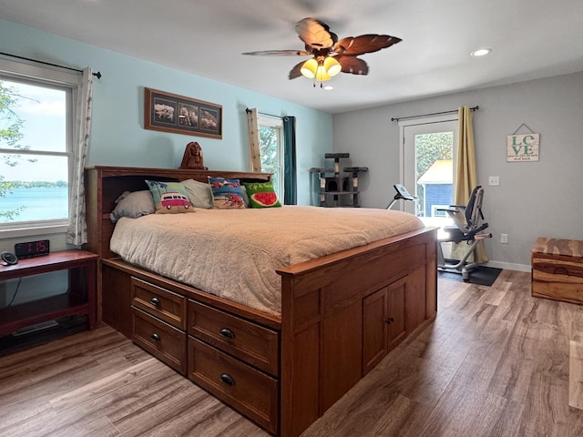 34 Shady Rest Rd, Lake Sarah Twp, MN 56132 - bedroom with access to outside, light wood finished floors, recessed lighting, and a ceiling fan