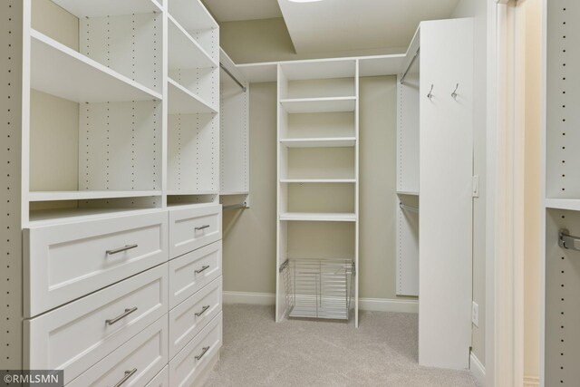 415 Indian Mound St Unit 103, Wayzata, MN 55391 - photo 39