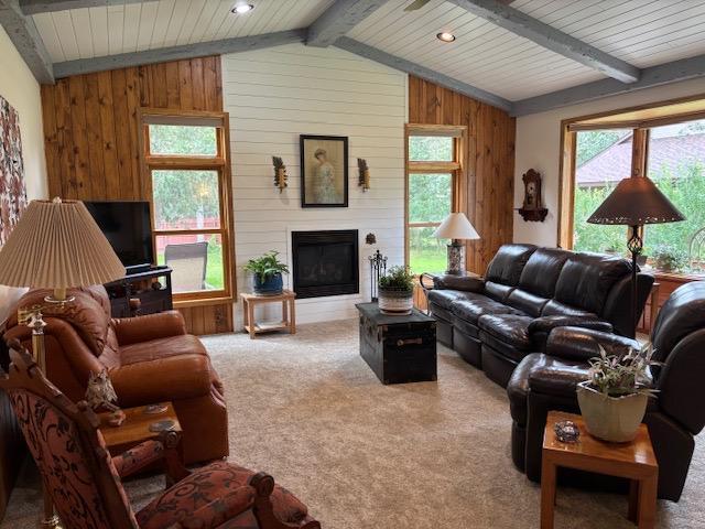 1111 Timbers Dr, Park Rapids, MN 56470 - photo 15