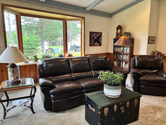 1111 Timbers Dr, Park Rapids, MN 56470 - photo 17