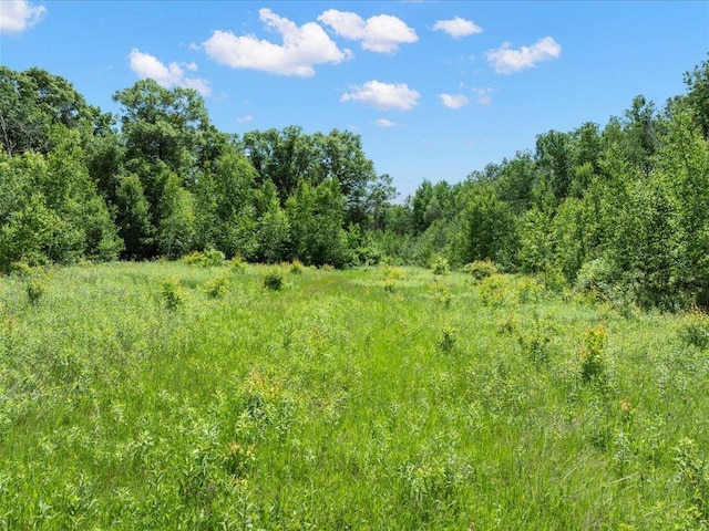 TBD-9529 20th St, Saint Mathias Twp, MN 56449 - photo 6