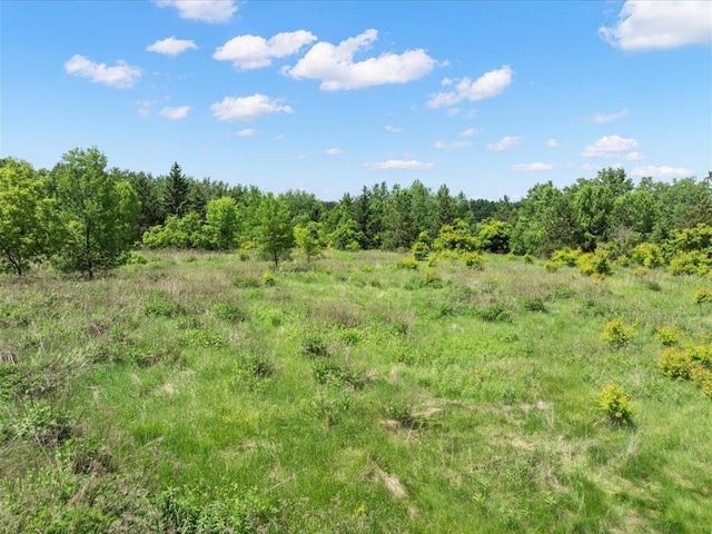 TBD-9529 20th St, Saint Mathias Twp, MN 56449 - photo 8