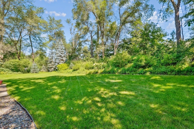 283 Timberline Trl, Vadnais Heights, MN 55127 - photo 28