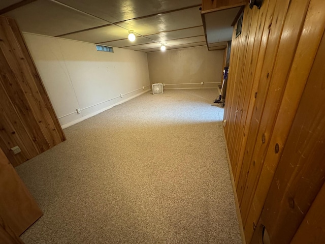 1204 Garflield Ave, Albert Lea, MN 56007 - finished basement featuring carpet floors and wooden walls