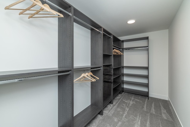 625 Ivy Falls Ave, Mendota Heights, MN 55118 - walk in closet featuring dark carpet