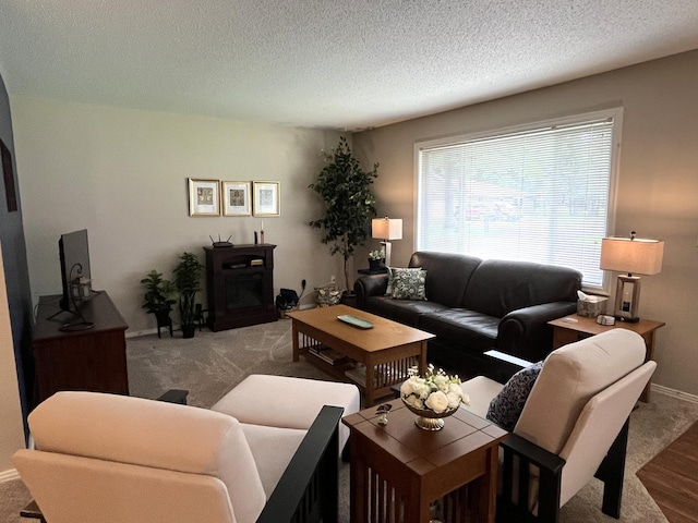 15965 Red Sand Cir, Brainerd, MN 56401 - carpeted living room featuring a fireplace and a textured ceiling