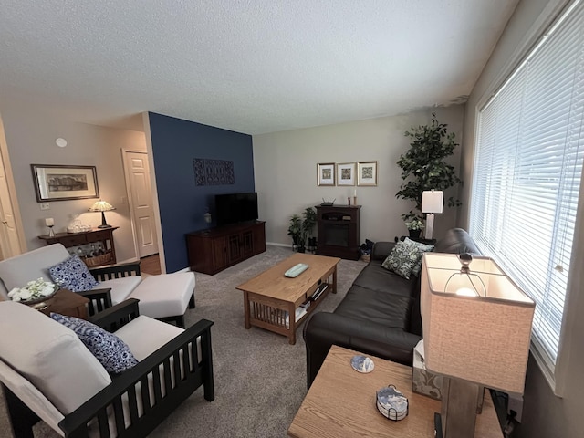 15965 Red Sand Cir, Brainerd, MN 56401 - carpeted living area featuring a textured ceiling