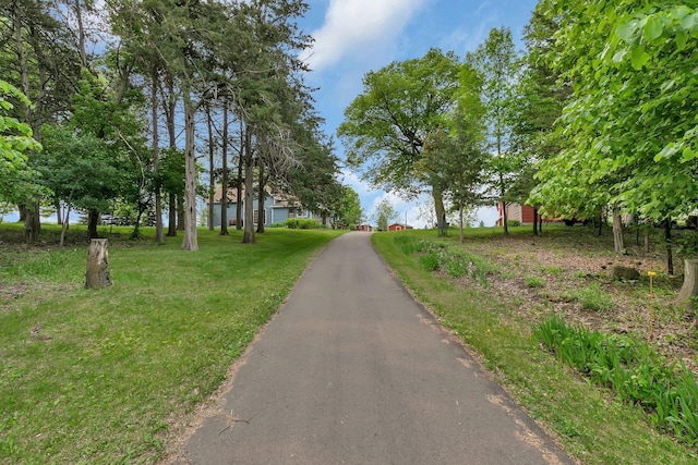 31724 Sand Lake Rd, Albany, MN 56307 - photo 4