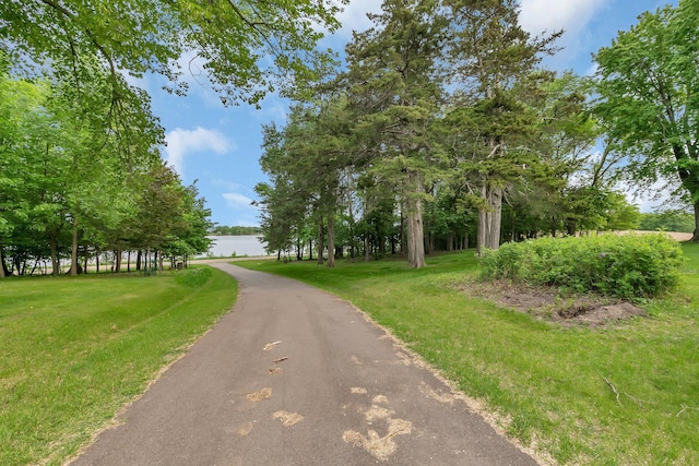 31724 Sand Lake Rd, Albany, MN 56307 - photo 15