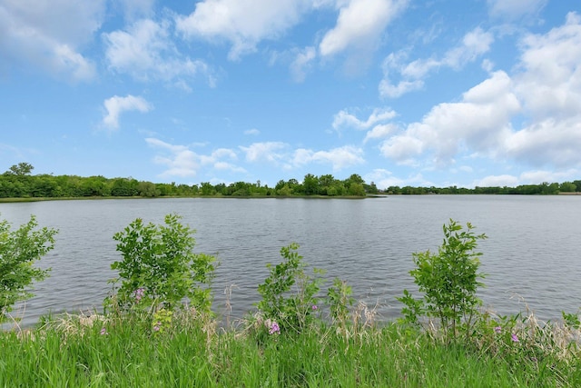 31724 Sand Lake Rd, Albany, MN 56307 - photo 19
