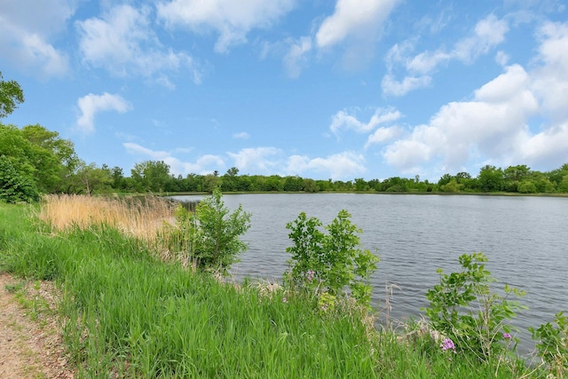 31724 Sand Lake Rd, Albany, MN 56307 - photo 20