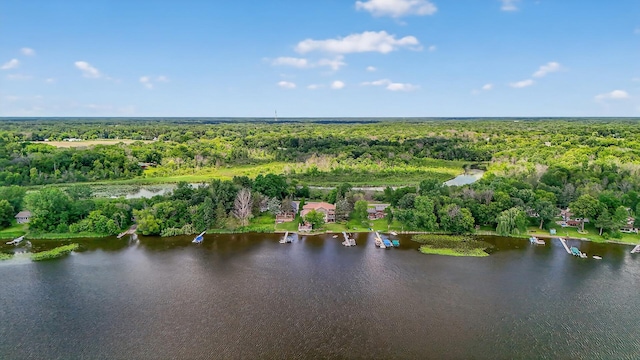 7471 260th St, Wyoming, MN 55092 - aerial view of a heavily wooded area and a large body of water