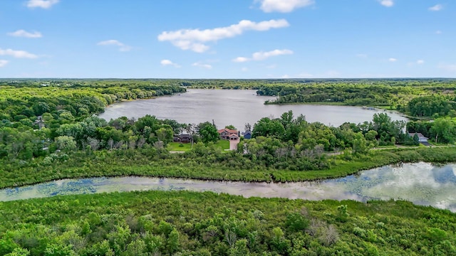 7471 260th St, Wyoming, MN 55092 - aerial view of a heavily wooded area and a nearby body of water