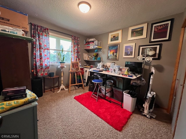 4681 Country Shrs SW, Alexandria, MN 56308 - photo 29
