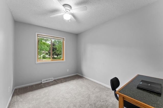 6071 Red Fox Run, North Branch, MN 55056 - unfurnished office with carpet floors, a textured ceiling, and ceiling fan