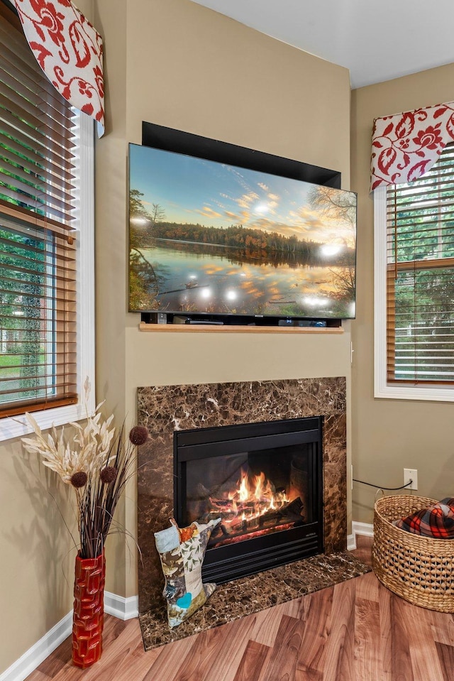 15618 Emerald Dr N Unit 2, Hugo, MN 55038 - detailed view of a premium fireplace and wood finished floors