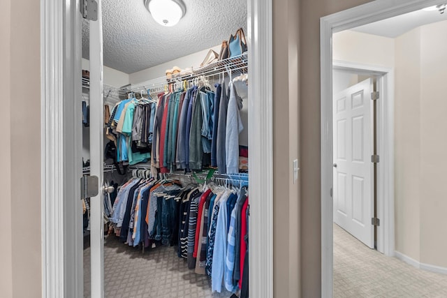 15618 Emerald Dr N Unit 2, Hugo, MN 55038 - walk in closet with carpet floors