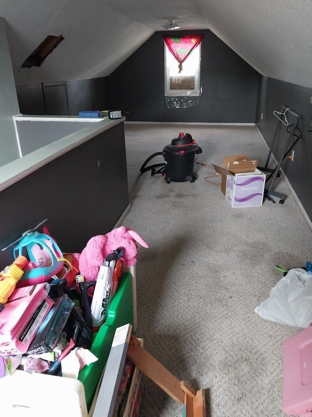 206 20th St S, Benson, MN 56215 - additional living space featuring lofted ceiling and carpet flooring
