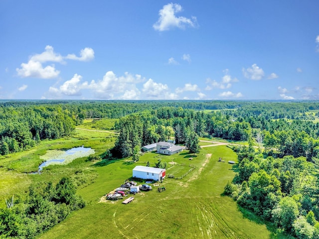 75309 Twin Oaks Rd, Bremen Twp, MN 55735 - bird's eye view of a heavily wooded area and a nearby body of water