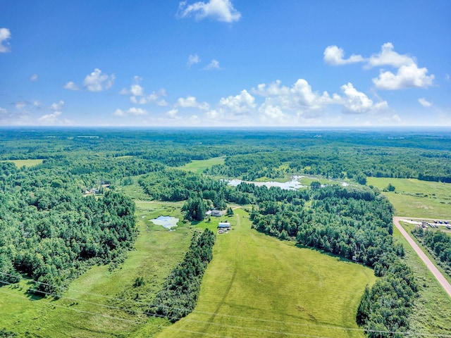 75309 Twin Oaks Rd, Bremen Twp, MN 55735 - view of rural area with a forest