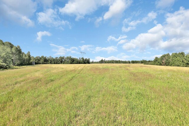75309 Twin Oaks Rd, Bremen Twp, MN 55735 - view of local wilderness with rural landscape
