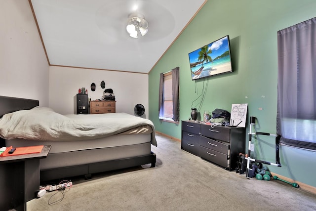 75309 Twin Oaks Rd, Bremen Twp, MN 55735 - bedroom featuring lofted ceiling and carpet