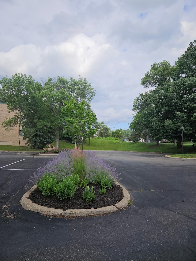 1855 Silver Bell Rd Unit 301, Eagan, MN 55122 - view of asphalt road featuring curbs