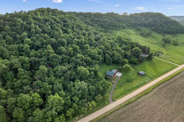 30453 County Road 19, Wiscoy Twp, MN 55971 - aerial view of property's location