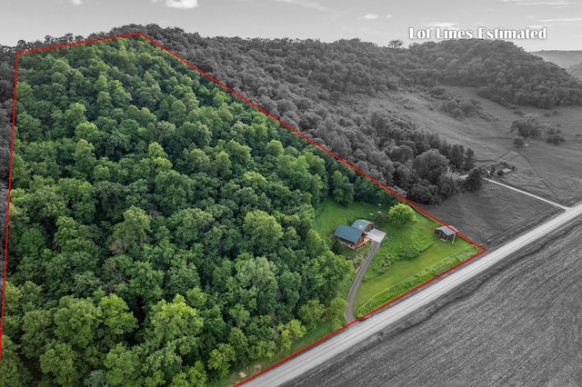 30453 County Road 19, Wiscoy Twp, MN 55971 - aerial overview of property's location with property parcel outlined